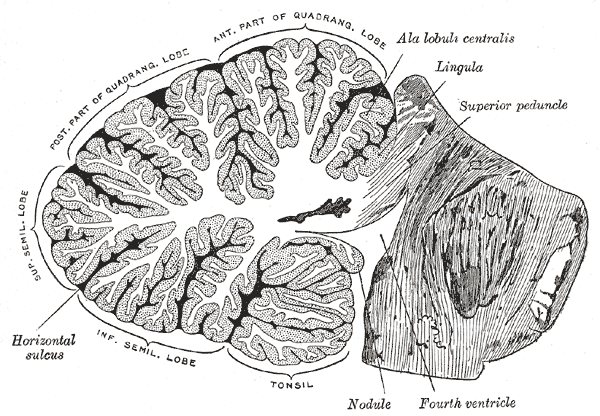 Fig. 704