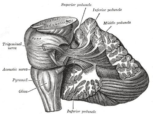 Fig. 705