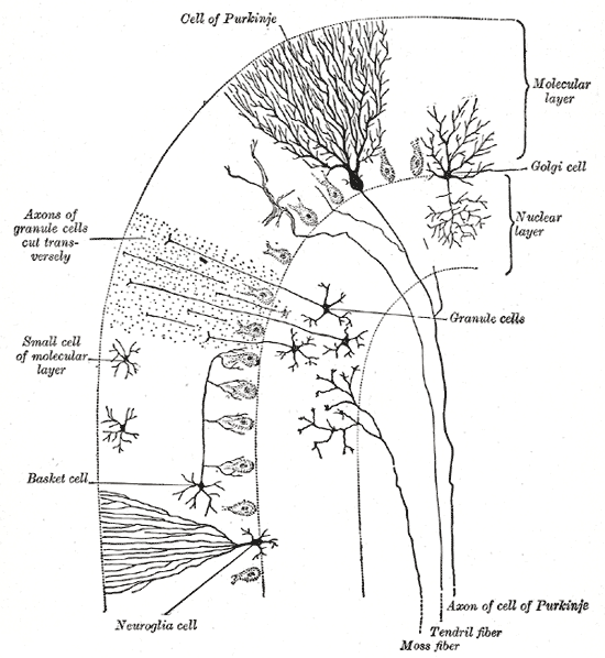 Fig. 706