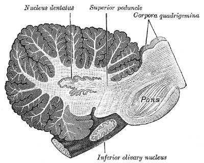 Fig. 707