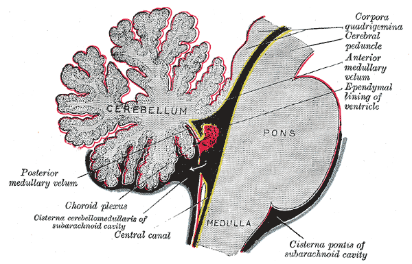 Fig. 708