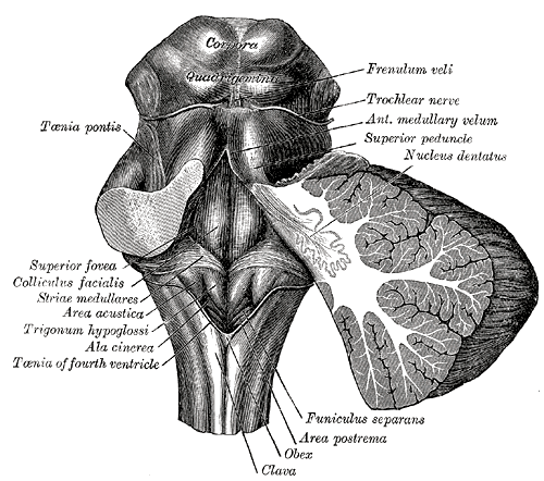 Fig. 709