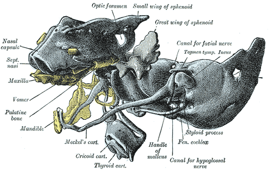 Fig. 71