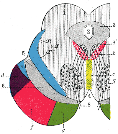 Fig. 710