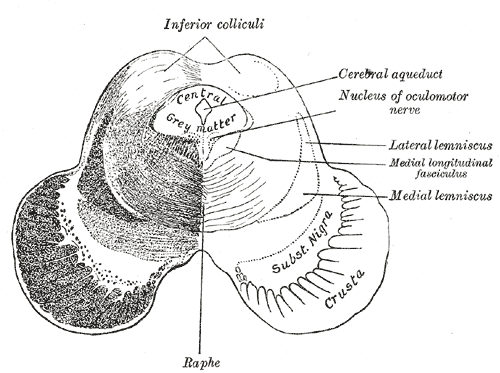 Fig. 711