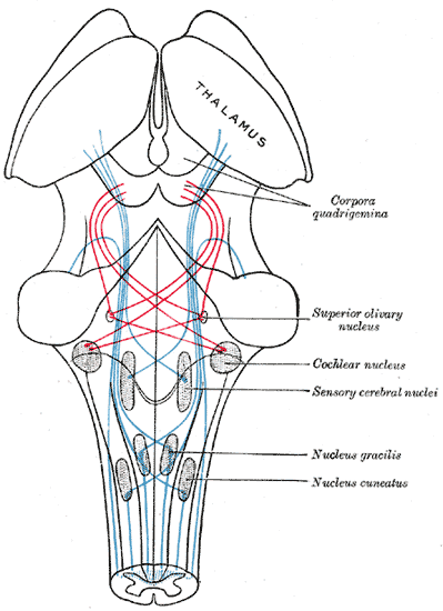 Fig. 713