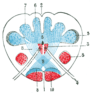 Fig. 714