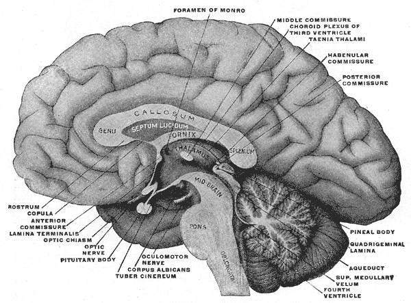 Fig. 715