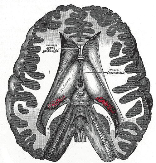 Fig. 716