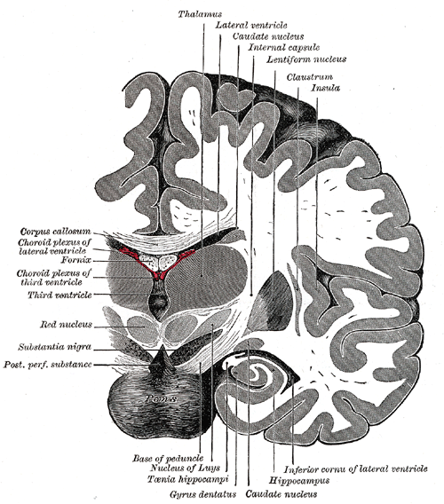 Fig. 717