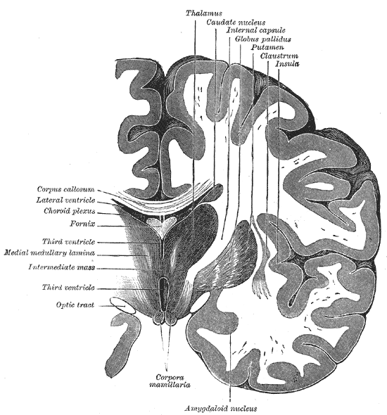 Fig. 718