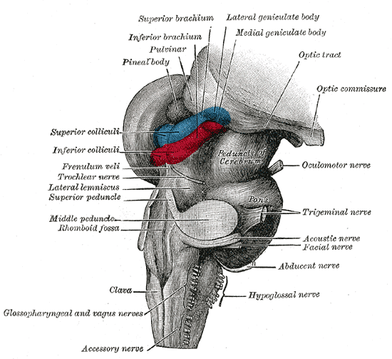 Fig. 719