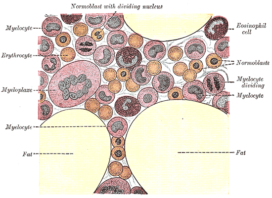 Fig. 72