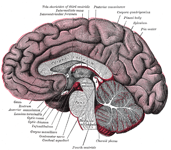Fig. 720