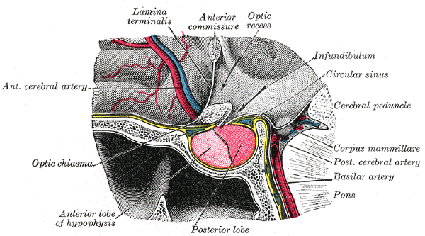 Fig. 721