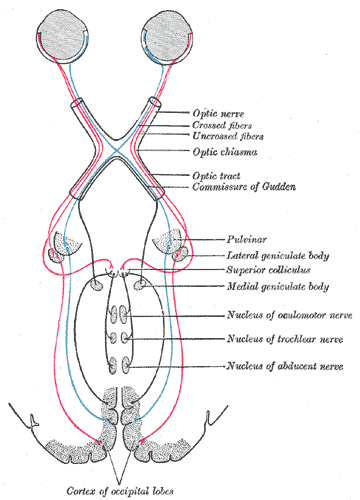 Fig. 722