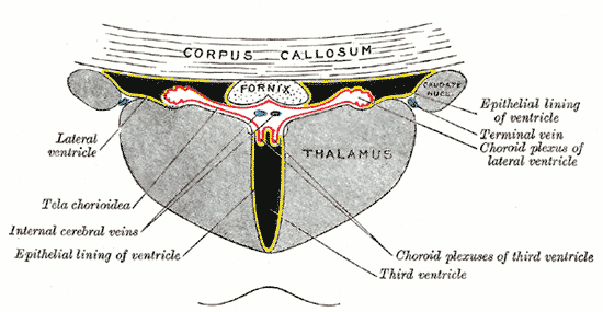 Fig. 723