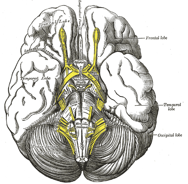 Fig. 724