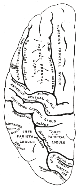 Fig. 725