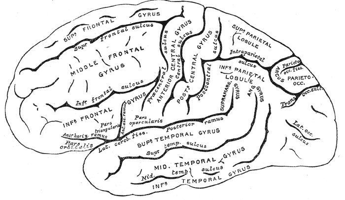 Fig. 726