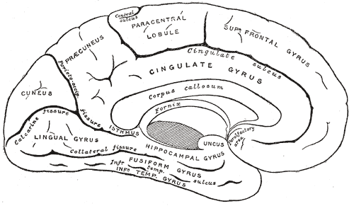 Fig. 727