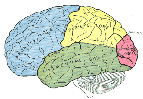 Fig. 728