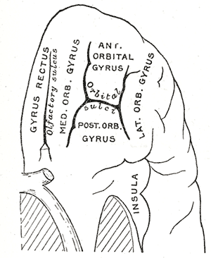 Fig. 729