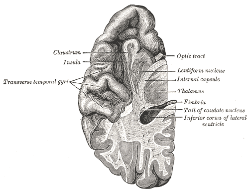 Fig. 730