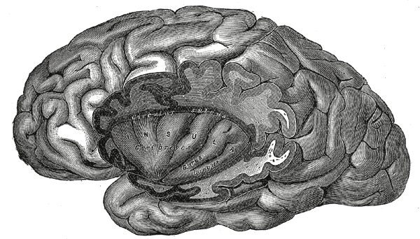 Fig. 731