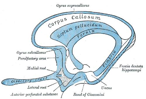 Fig. 732