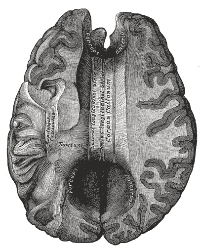 Fig. 733