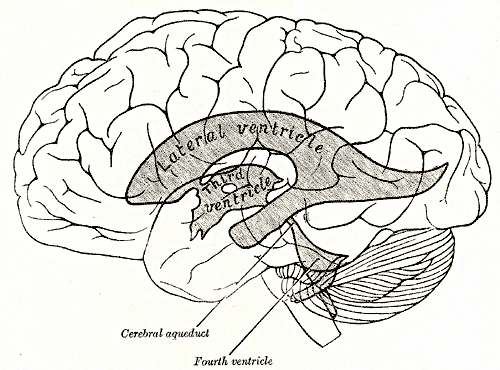 Fig. 734