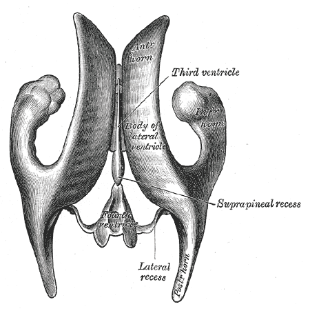 Fig. 735