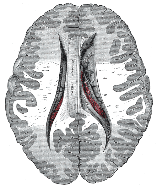 Fig. 737