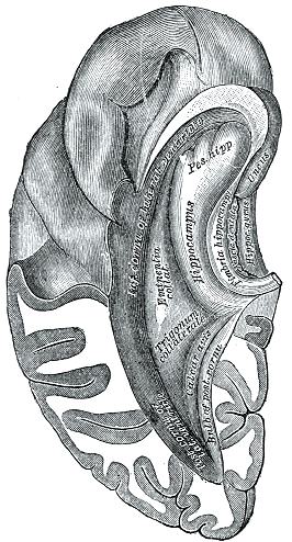 Fig. 740