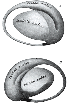 Fig. 741