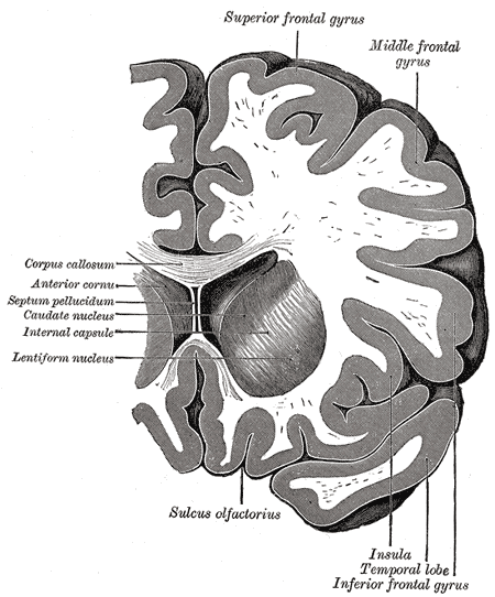 Fig. 743