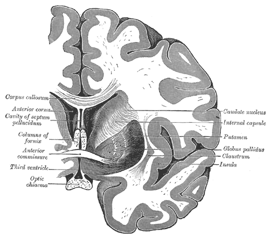 Fig. 744
