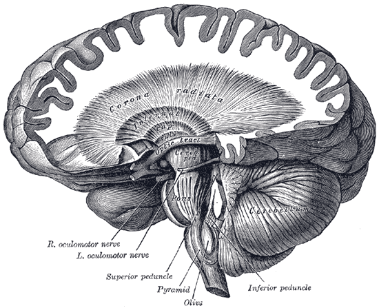 Fig. 745
