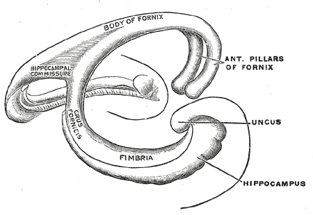 Fig. 747