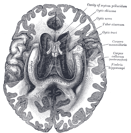 Fig. 748