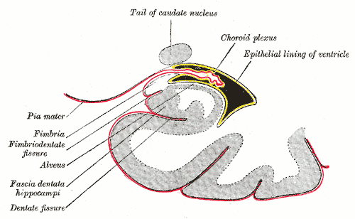 Fig. 749