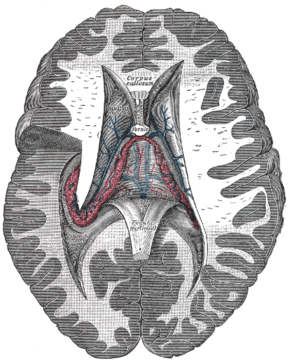 Fig. 750