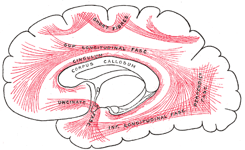 Fig. 751