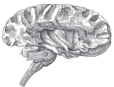 Fig. 752