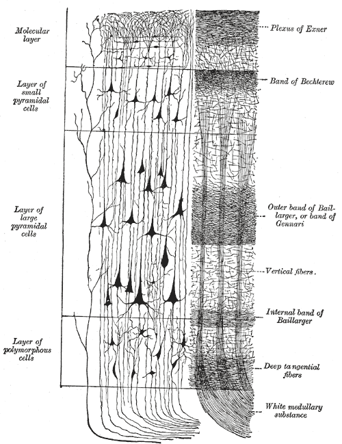 Fig. 754