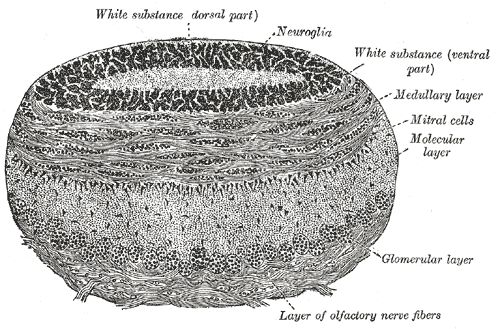 Fig. 755