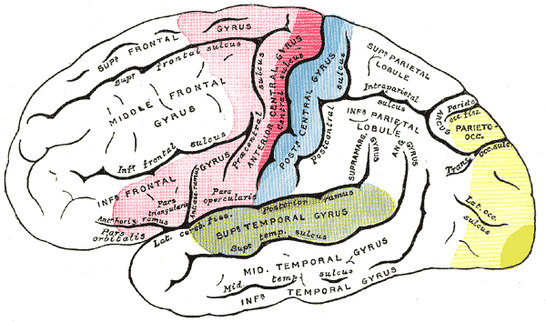 Fig. 756