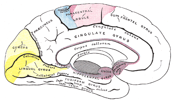 Fig. 757