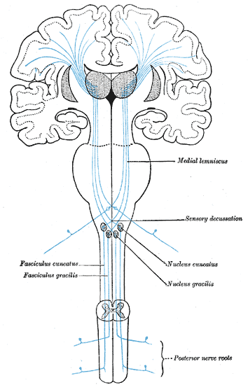Fig. 759